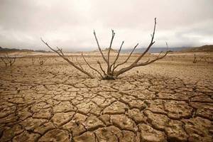 
        Засуха определяет разнообразие жизни на Земле            