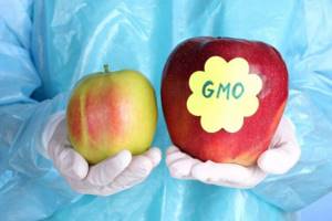 Опасны ли ГМО продукты — мифы и реальность