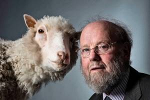 
        Питомец науки: 25 лет назад ученые клонировали овечку Долли            