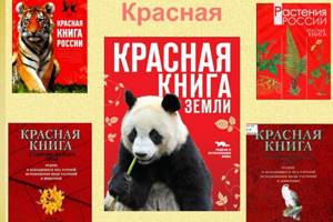 
        Что такое Красная книга и чем она отличается от Чёрной книги?            