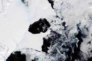 В Антарктиде обрушился в воду огромный шельфовый ледник — чем это грозит человечеству?