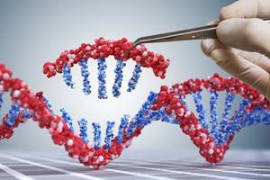 
        Созданы генетически модифицированные клетки, подходящие 95% людей            