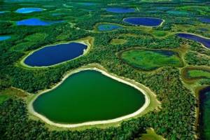 
        Крупнейшее водно-болотное угодье в мире может исчезнуть            