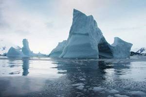 
        Под антарктическим ледником нашли скрытый живой мир            