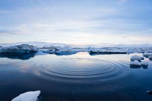 
        В российской Арктике обнаружен полюс глобального потепления            