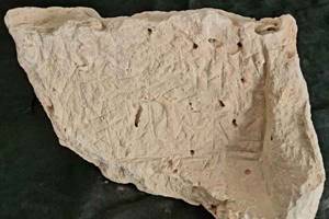
        Найдено 3500-летнее проклятие губернатору Иерусалима            