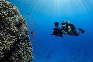 
        В Красном море нашли глубоководные соляные бассейны            