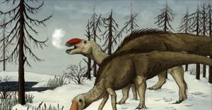 Ученые ошиблись: динозавры были хорошо приспособлены к холоду