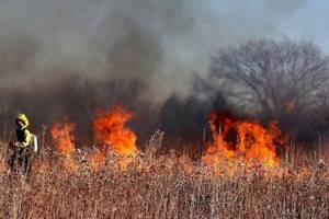 
        Природные пожары в Австралии нагрели стратосферу Земли            