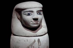 
        Ученые впервые прочитали ДНК из древнеегипетских погребальных сосудов            