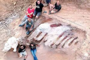 
        Крупнейший скелет динозавра обнаружен в Португалии            