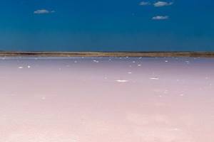 
        Ярко-розовое озеро Сенегала потеряло свой цвет            