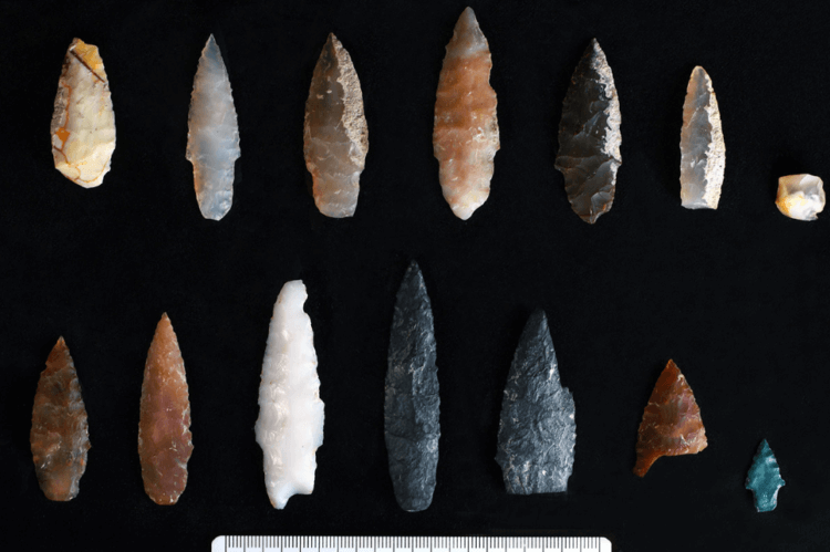 Археологи обнаружили самые первые инструменты древних индейцев