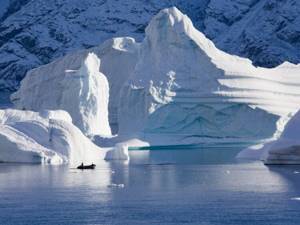 Ледники Гренландии тают в 100 раз быстрее, чем считалось ранее