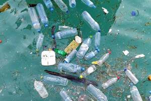 
        Отложения пластика в Мировом океане возросли в три раза за 20 лет            