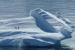
        Портал в ледяное прошлое пробурили в Антарктиде            