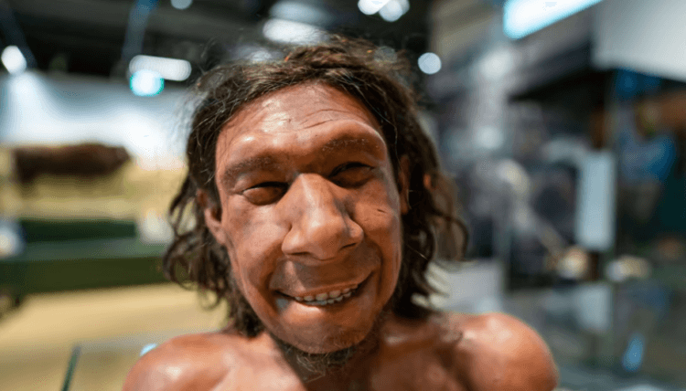 Эволюция помогла неандертальцам не чувствовать запах своего тела