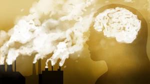 Как выхлопные газы влияют на работу мозга?